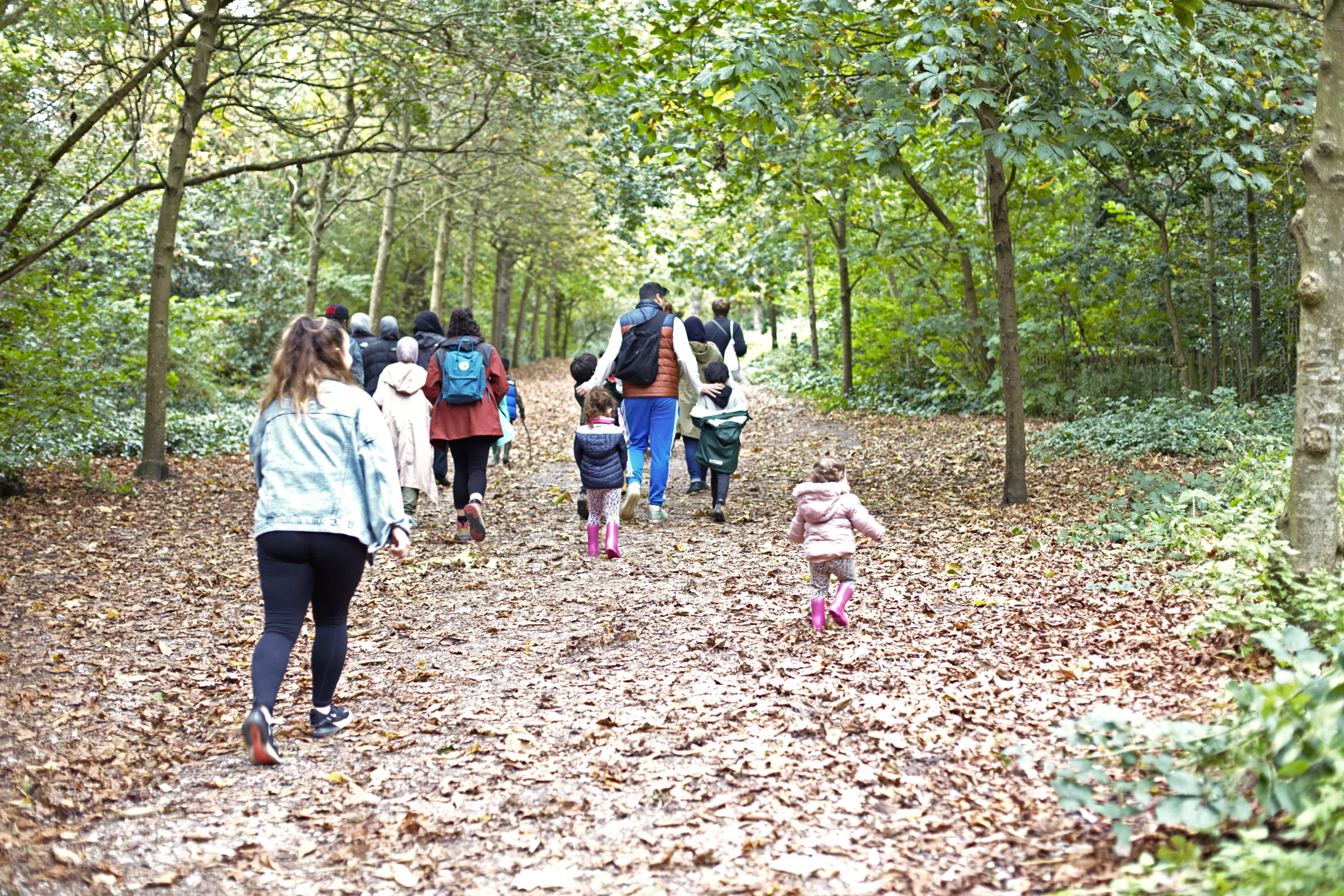 Group of Flourish families walking through the forest at Holland Park Ecology Centre.