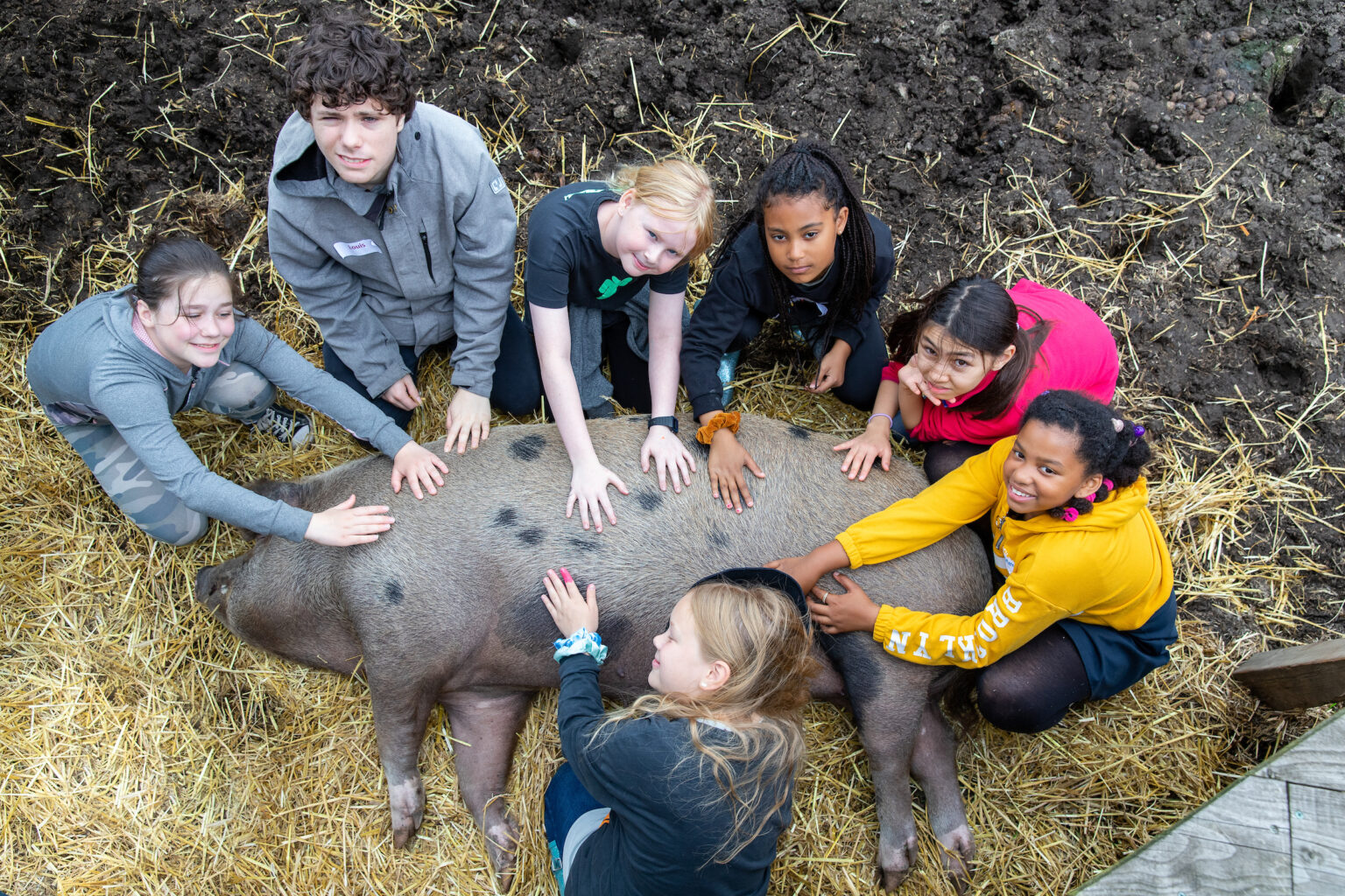 Group of children sitting around and touching a pig.