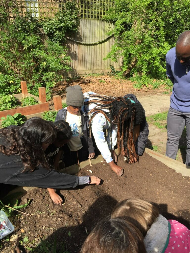 Programme participants gathered around a raised bed and planting seeds.