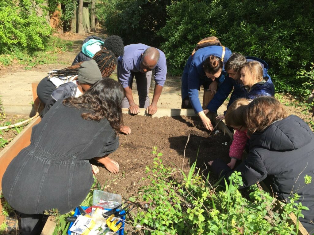 Programme participants gathered around a raised bed and planting seeds.