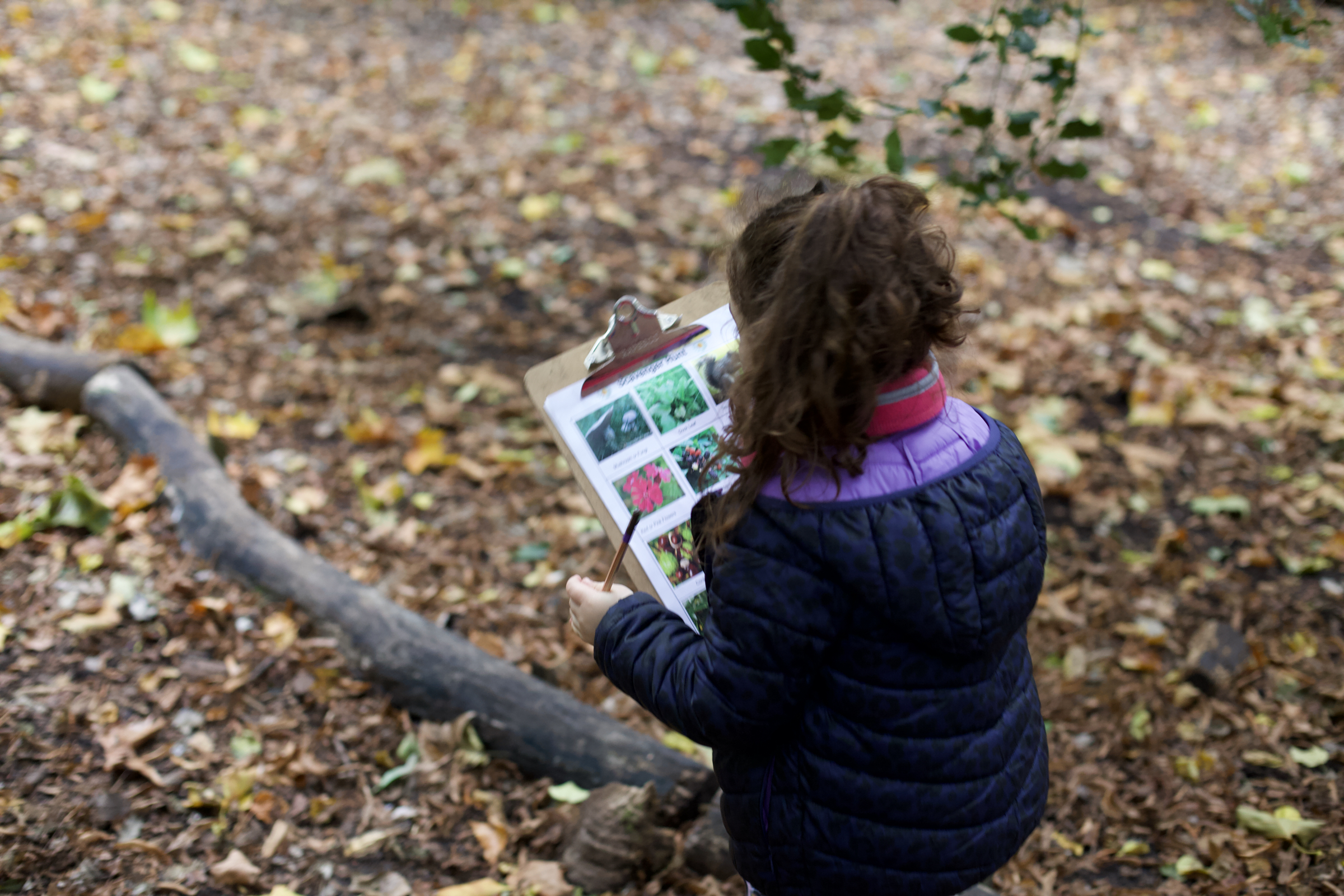 hotograph of a child playing a scavenger hunt, in the woods, outdoors.