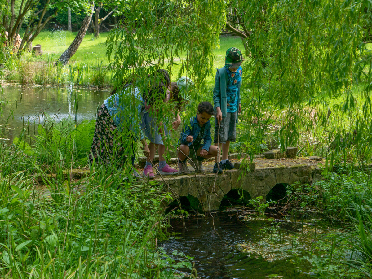 Four children standing on a small foot bridge across a stream, poking sticks into the water.