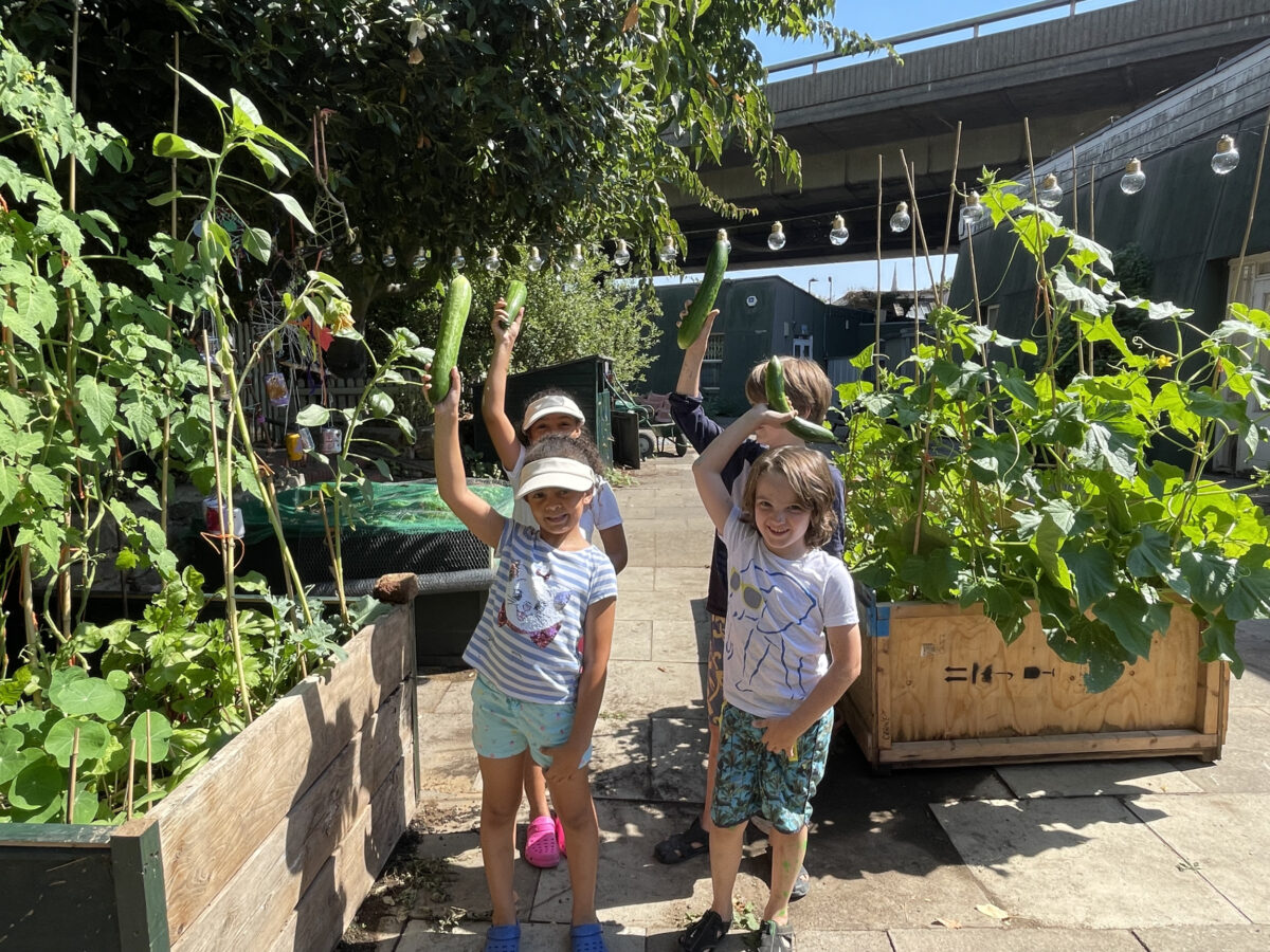 A group of children hold cucumbers freshly picked from a garden bed in an urban garden