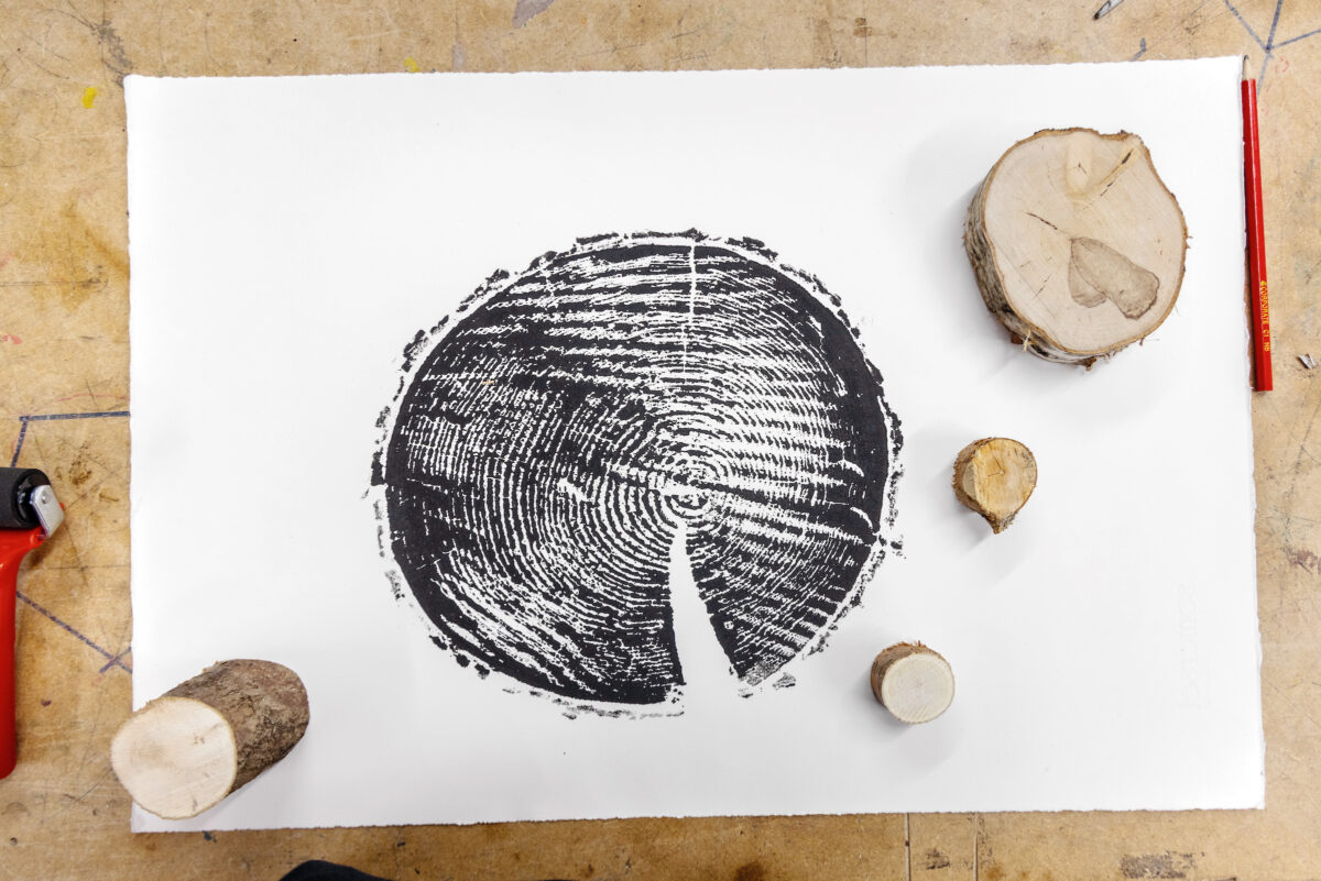 Flat lay of small tree cookies weighing down a print on black ink made from a larger tree cookie, on white paper.