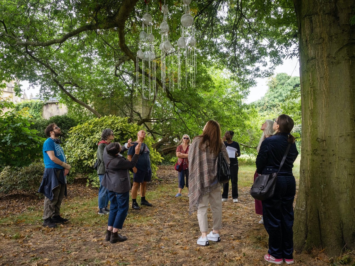 A group of people stand in a wooded area, looking up at glass orbs and tubes hanging from a tree branch. The scene is shaded by large green trees and surrounded by bushes.